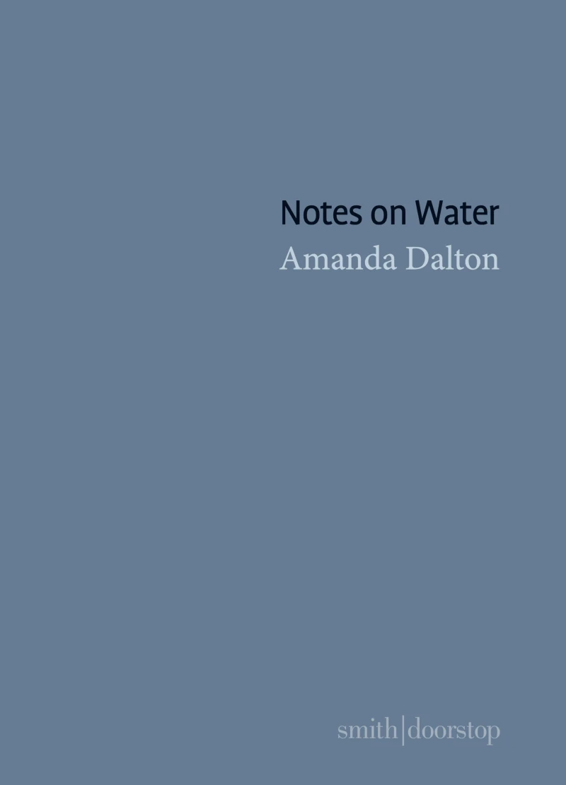 Portada: Notes on Water