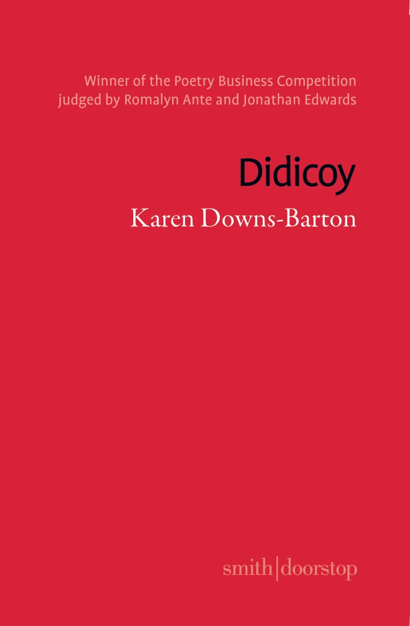 Portada: Didicoy