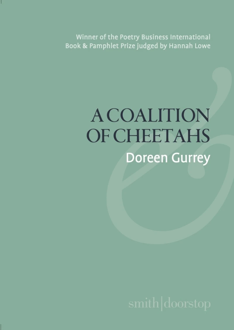 Portada: A Coalition of Cheetahs