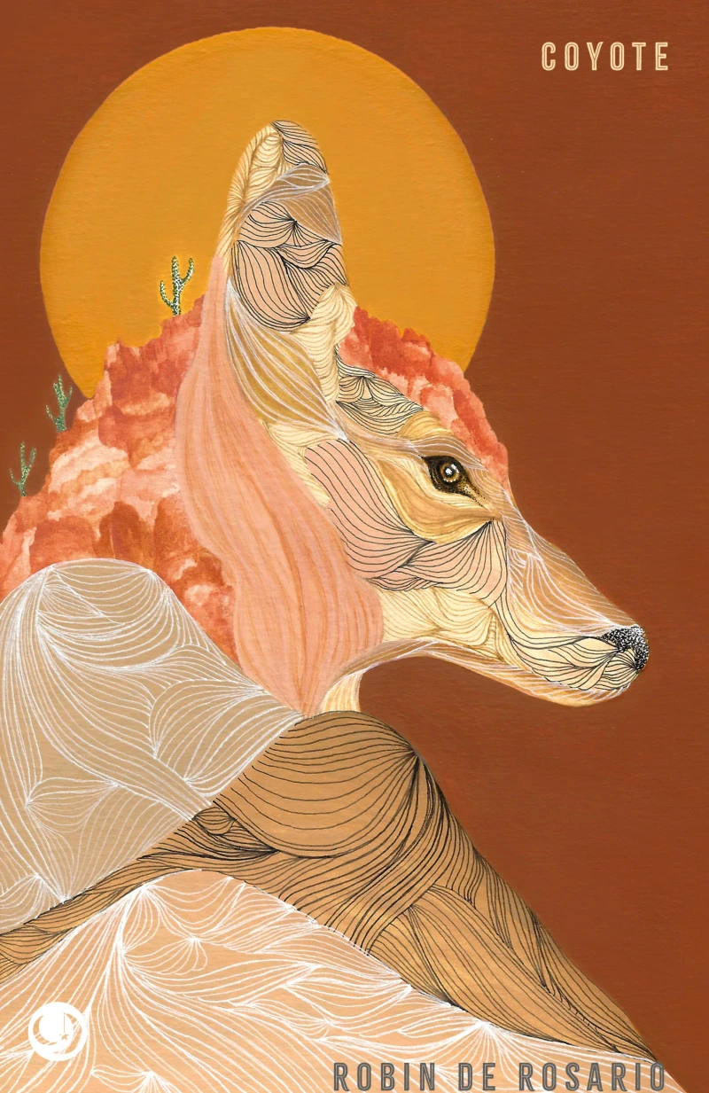 Portada: Coyote