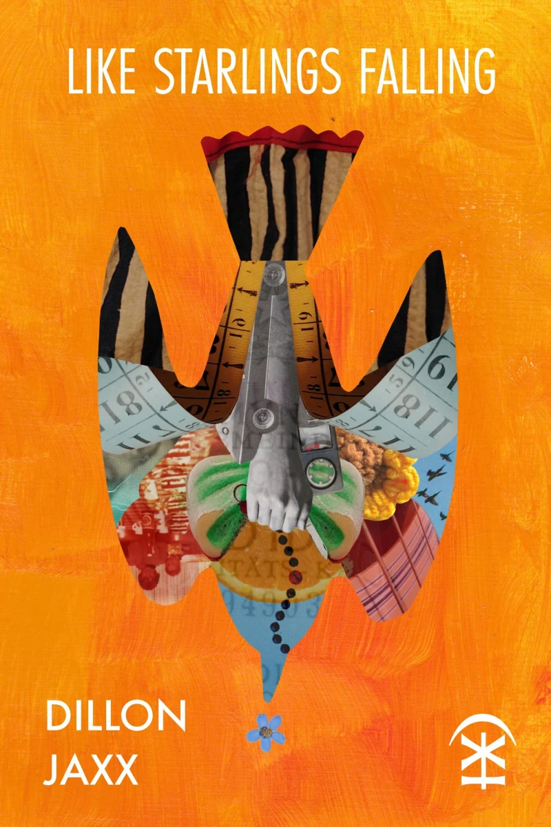 Portada: like starlings falling