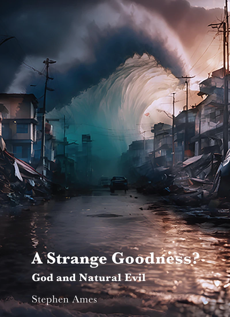 Portada: A Strange Goodness?