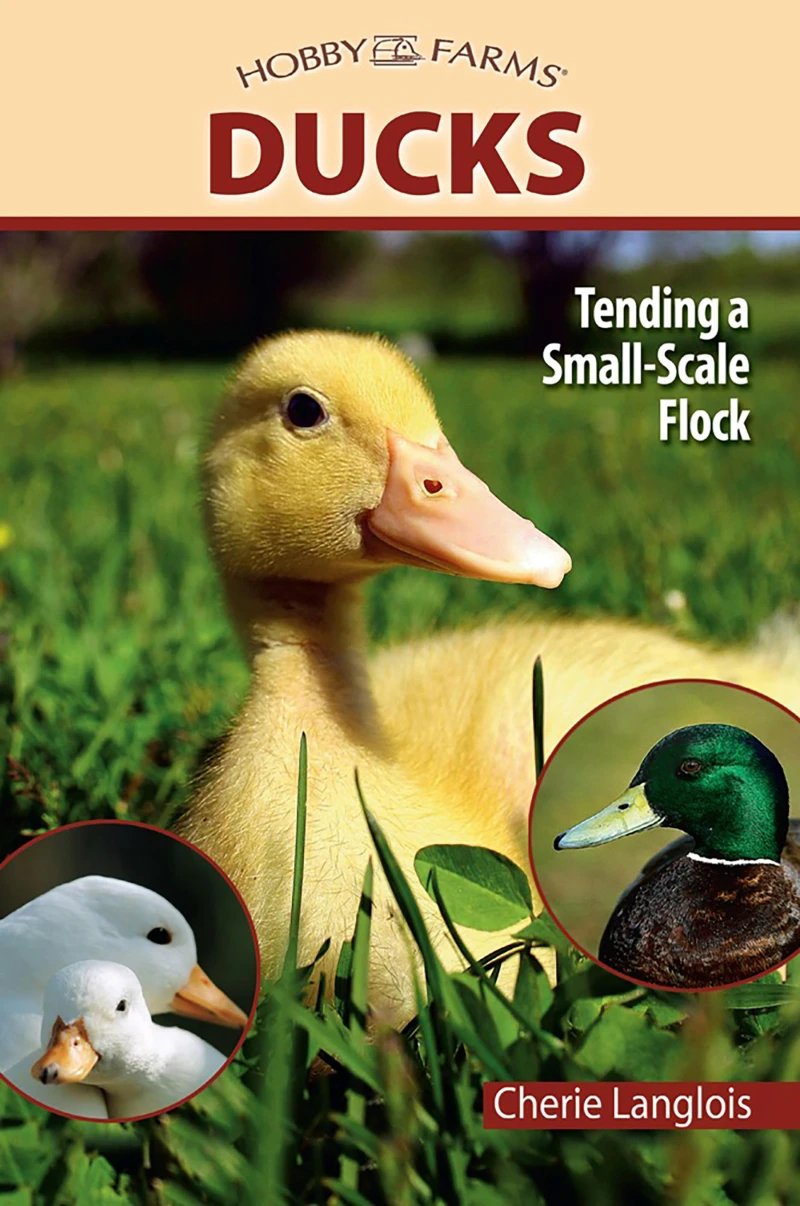 Portada: Ducks