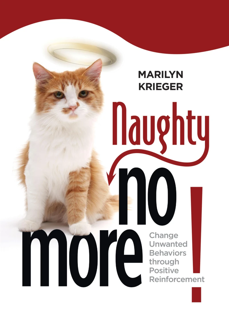 Portada: Naughty No More!