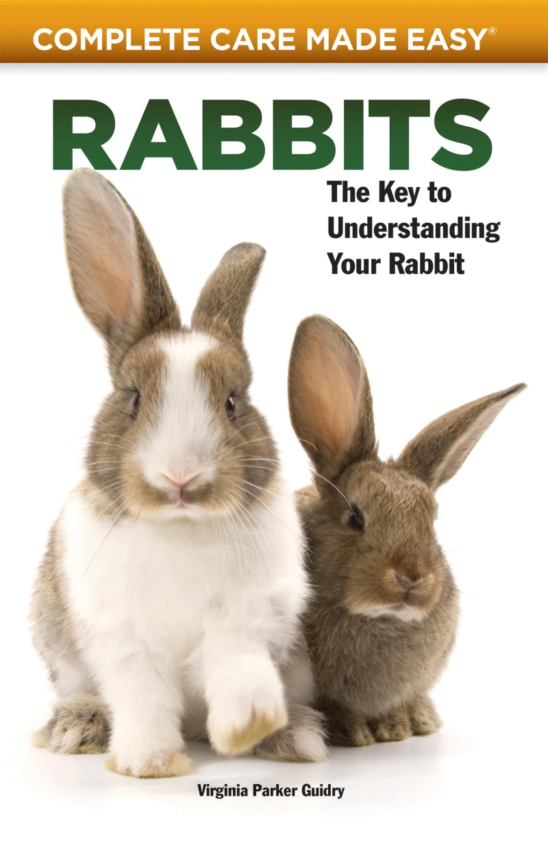 Portada: Rabbits