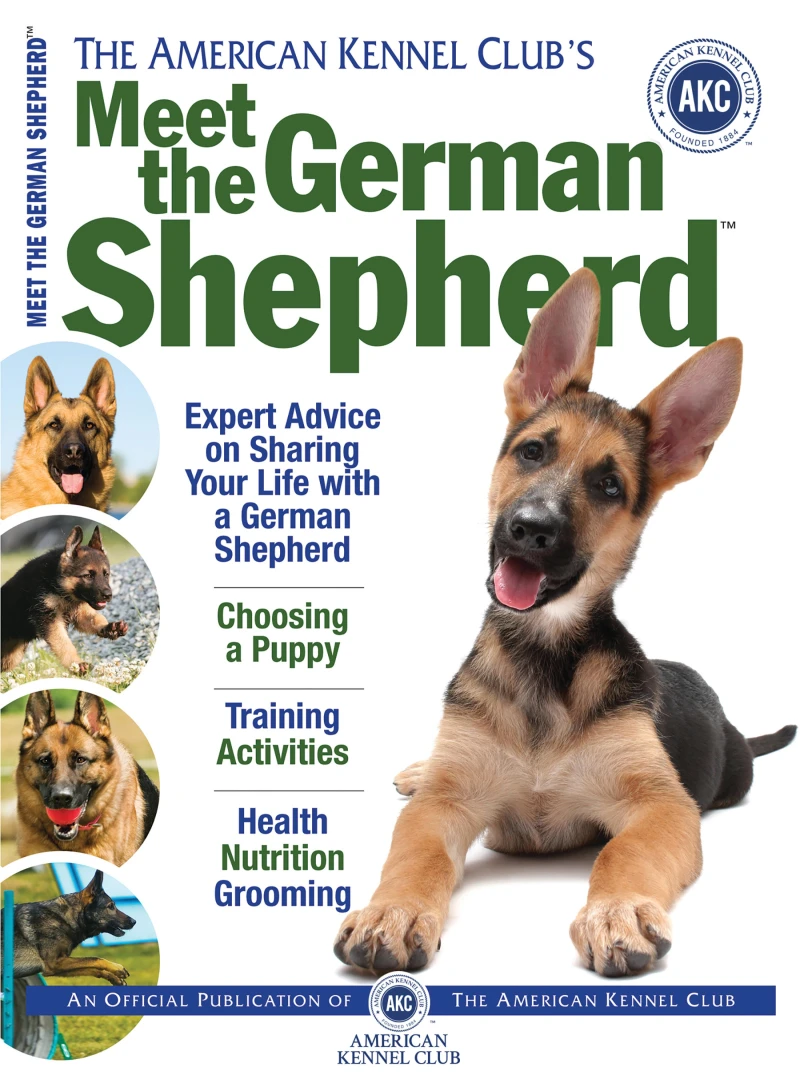 Portada: Meet the German Shepherd