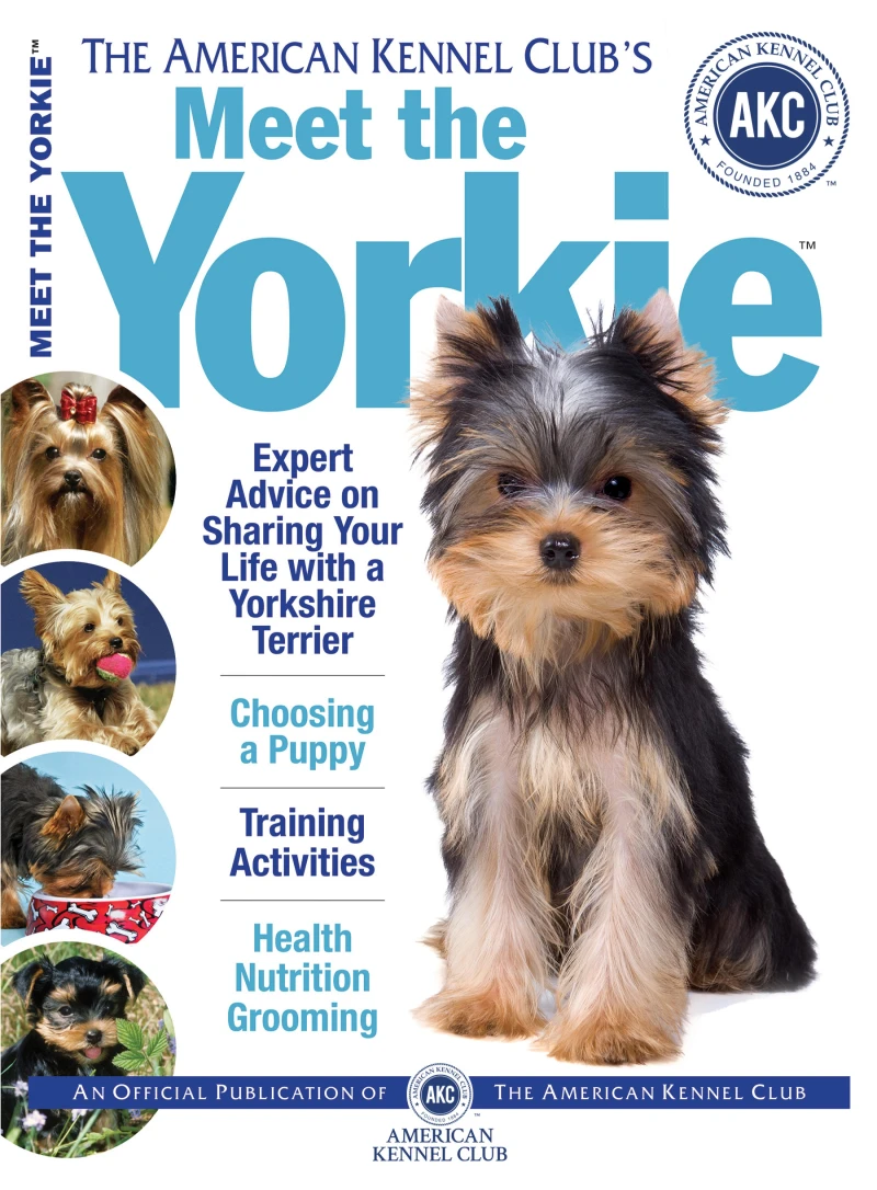 Portada: Meet the Yorkie