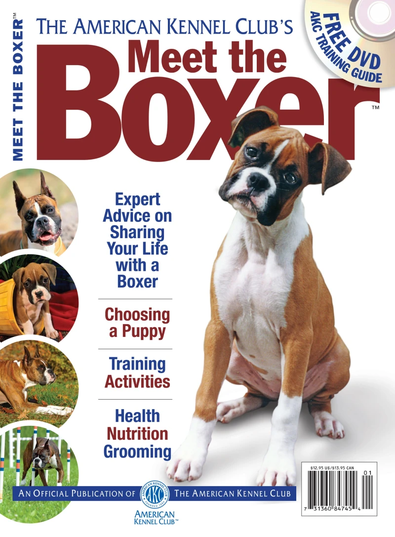 Portada: Meet the Boxer