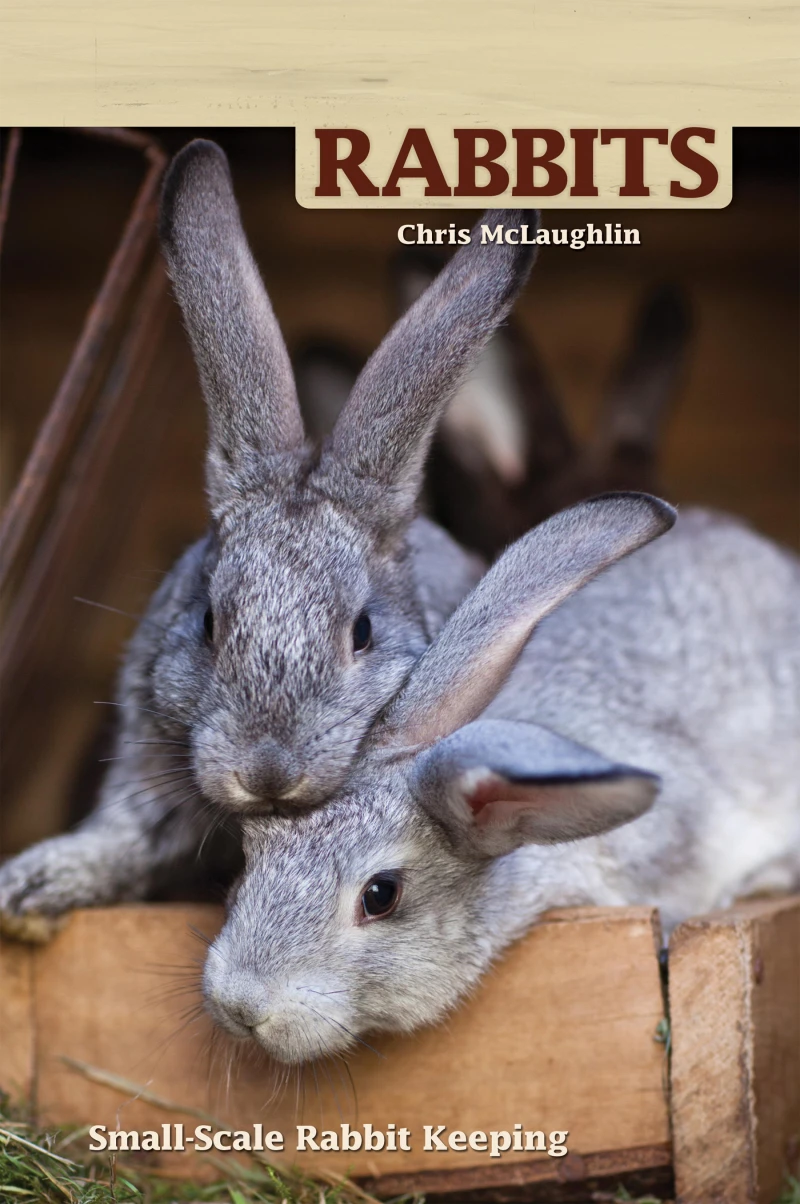 Portada: Hobby Farms: Rabbits