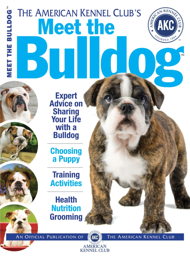 Portada: Meet the Bulldog