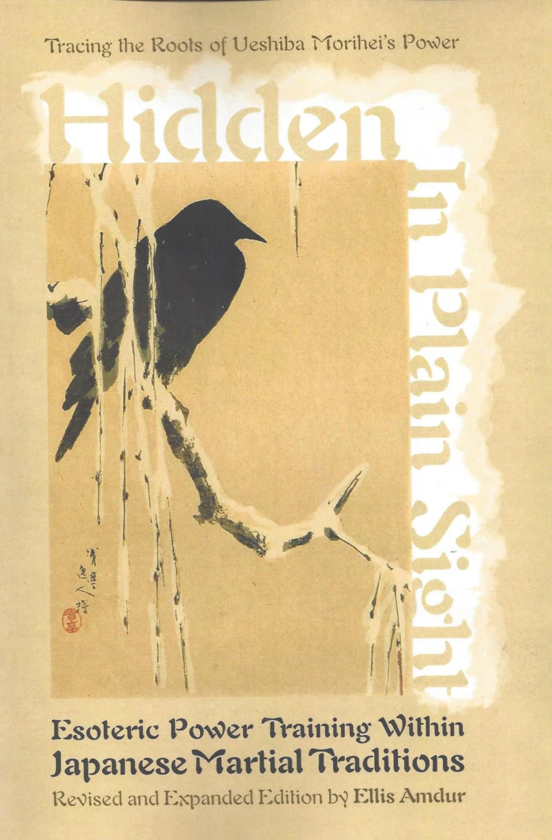 Portada: Hidden in Plain Sight