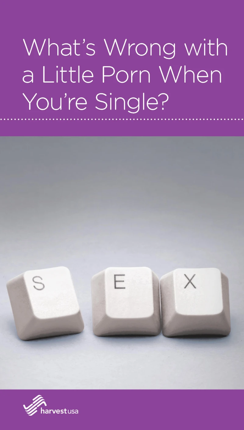 Portada: What's Wrong with a Little Porn When You're Single?