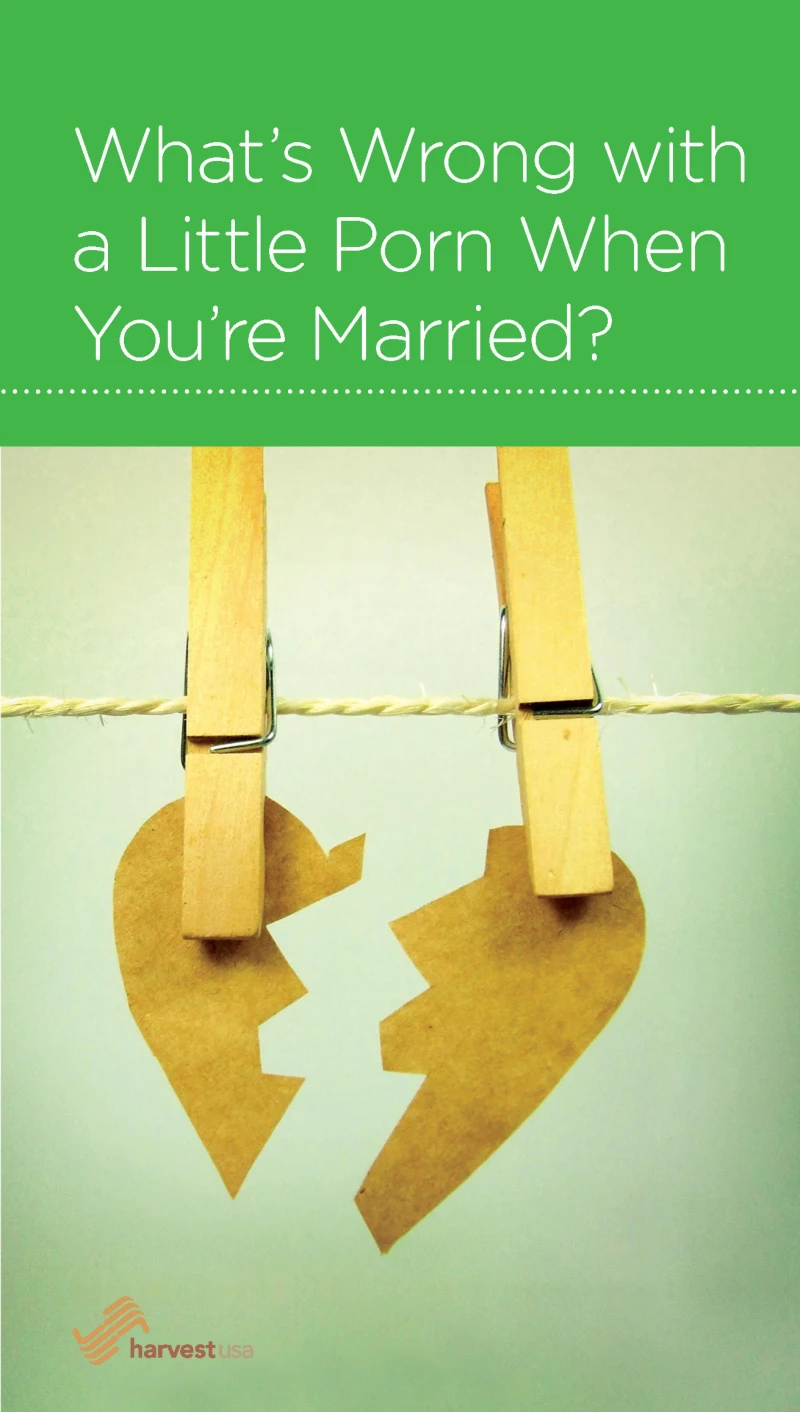 Portada: What's Wrong with a Little Porn When You're Married?