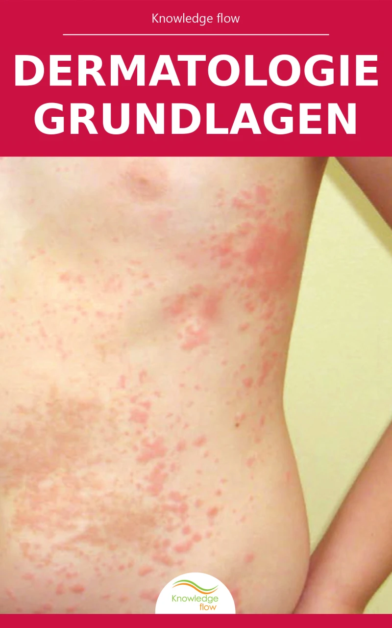 Portada: Dermatologie Grundlagen