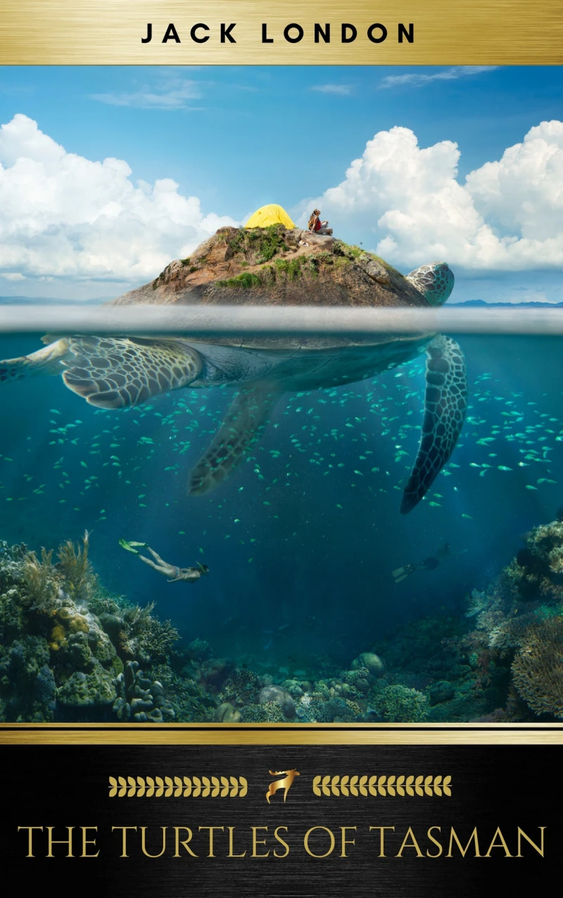 Portada: The Turtles of Tasman