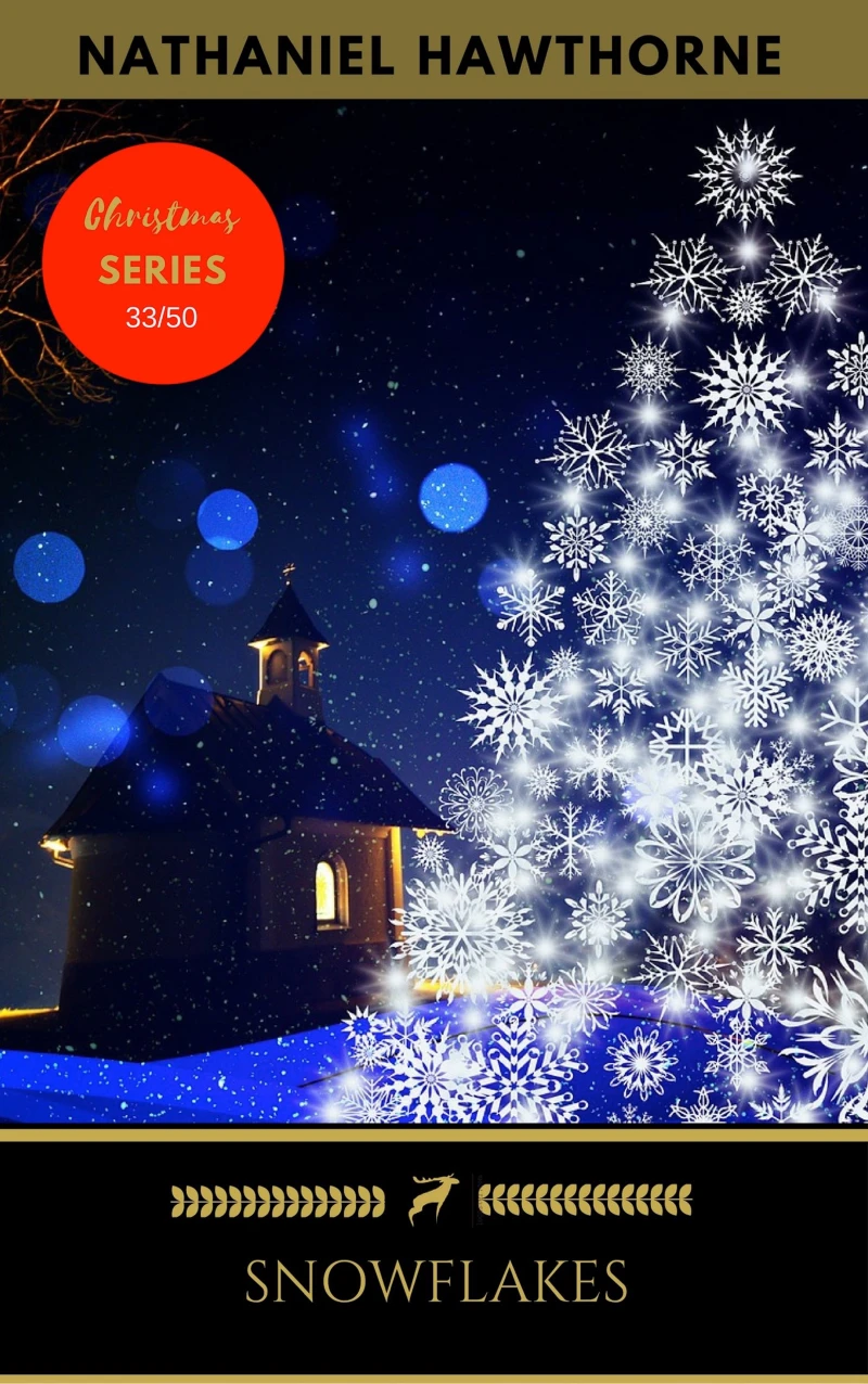Portada: Snow flakes