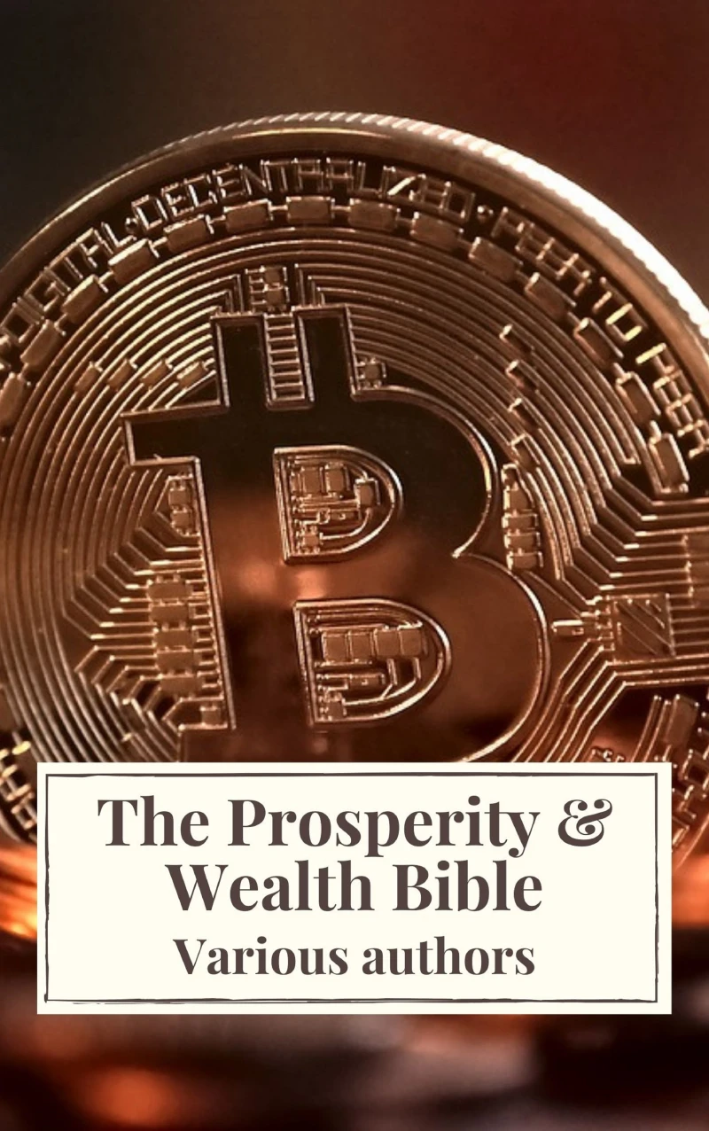 Portada: The Prosperity & Wealth Bible