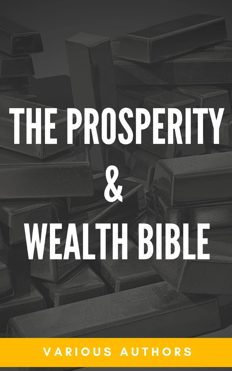 Portada: The Prosperity & Wealth Bible