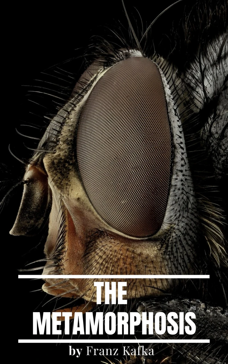 Portada: The Metamorphosis