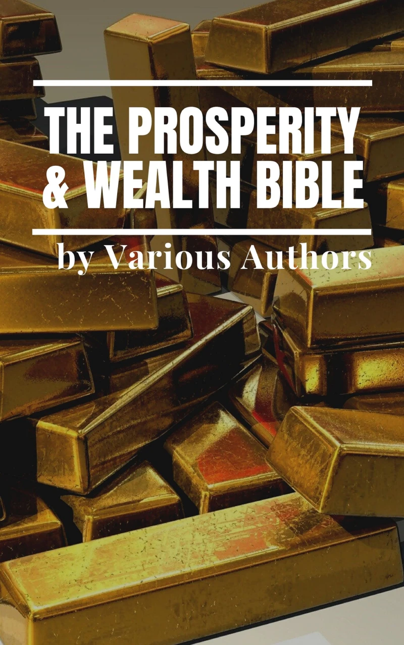 Portada: The Prosperity & Wealth Bible