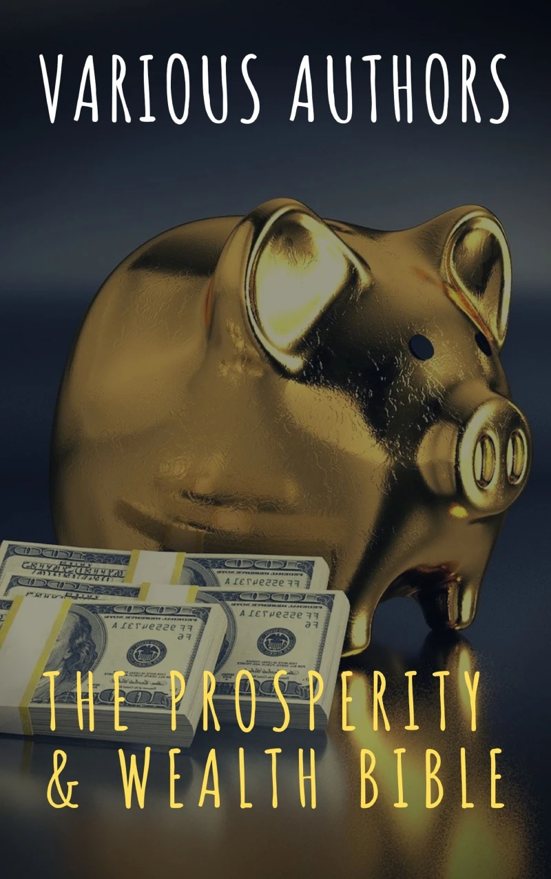 Portada: The Prosperity & Wealth Bible