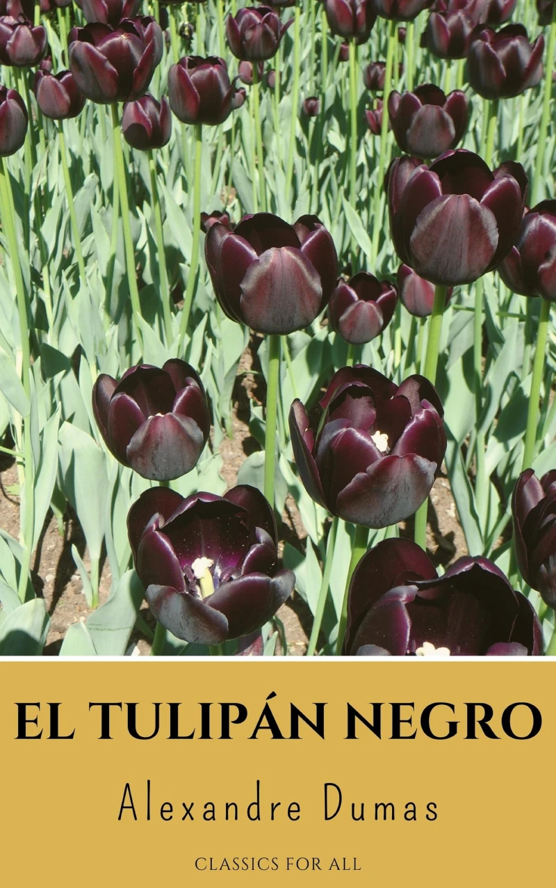 Portada: El tulipán negro