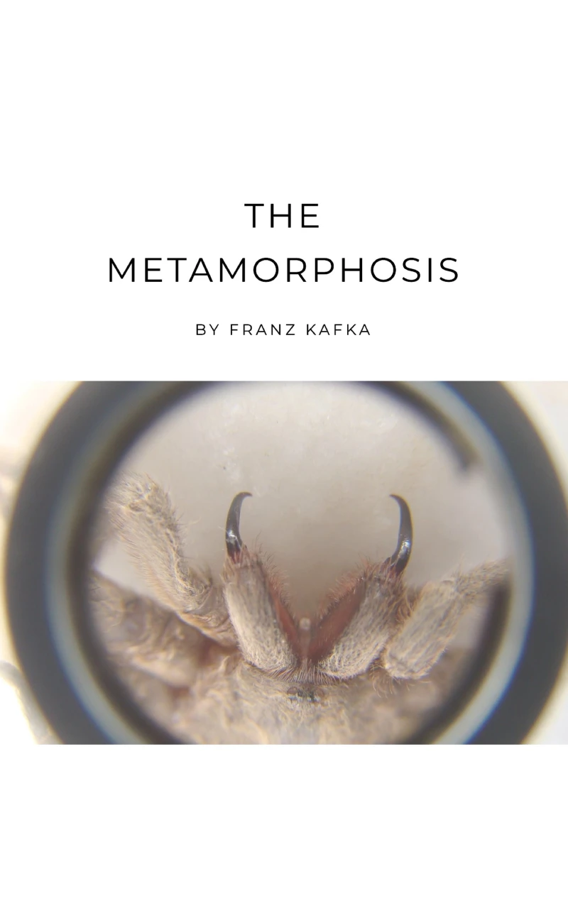 Portada: The Metamorphosis