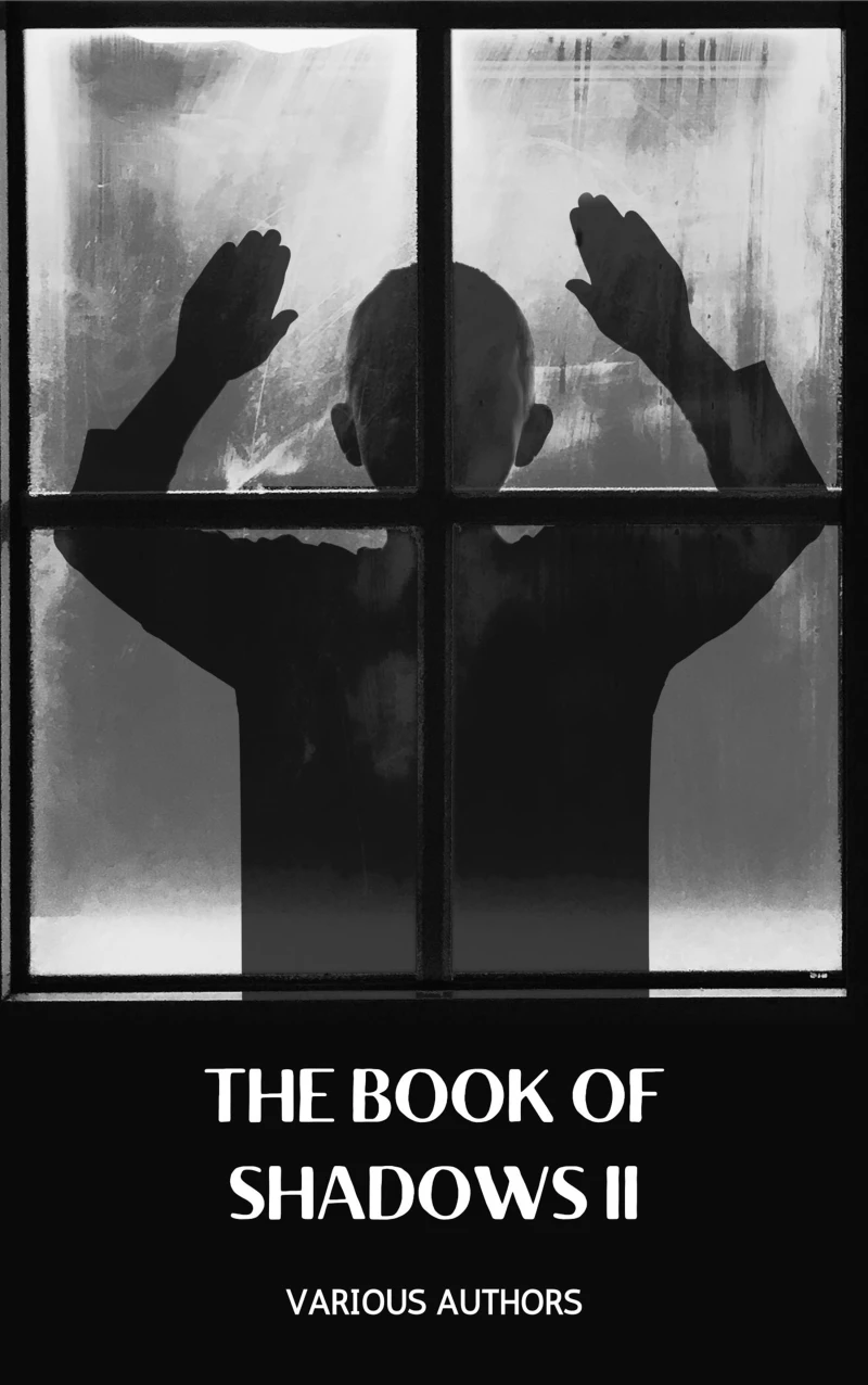 Portada: The Book of Shadows Vol 2
