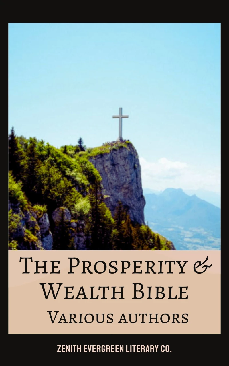 Portada: The Prosperity & Wealth Bible