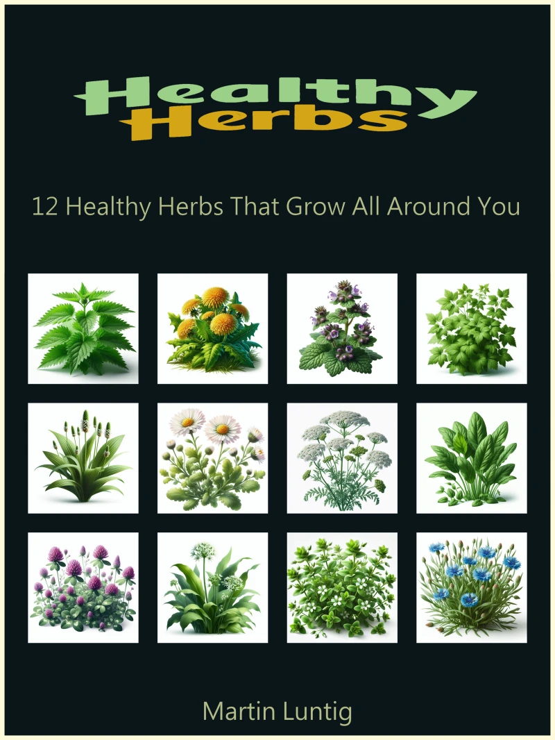 Portada: Healthy Herbs