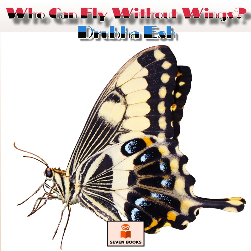 Portada: Who Can Fly Without Wings?