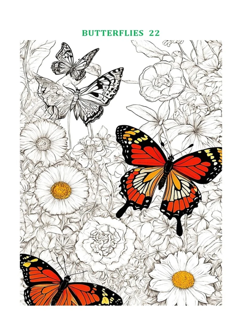 Portada: Fun coloring book Butterflies 3 for little artists