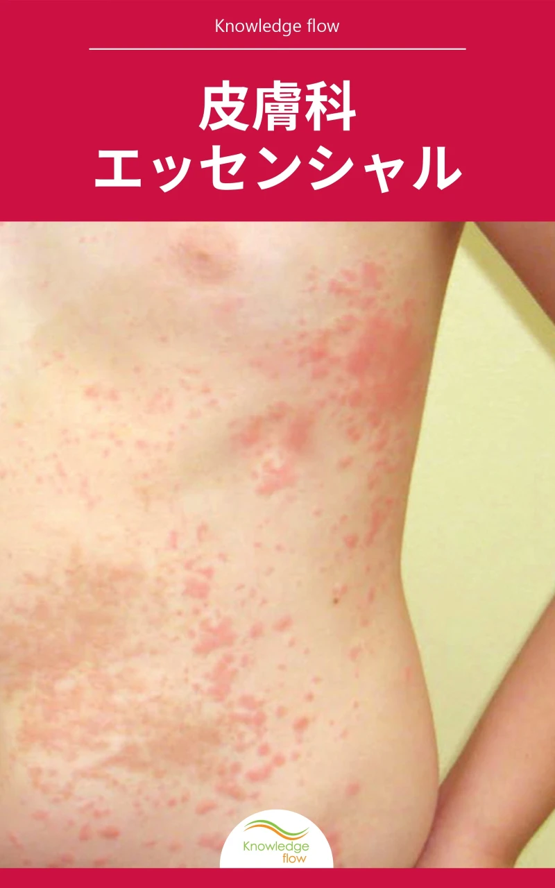 Portada: 生物学とヒト生理学