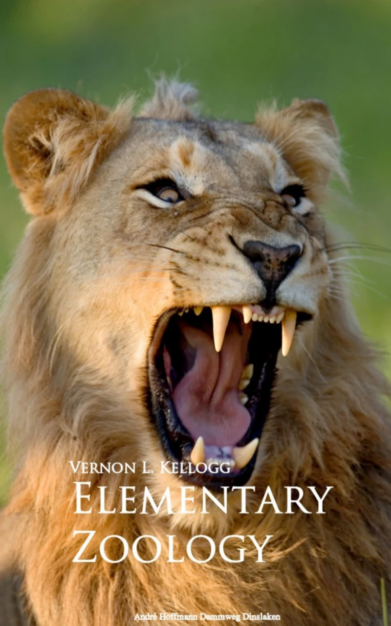 Portada: Elementary Zoology