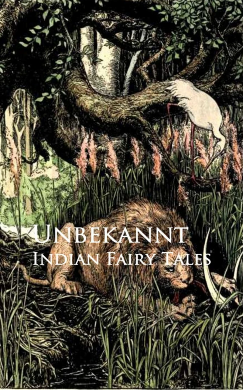Portada: Indian Fairy Tales