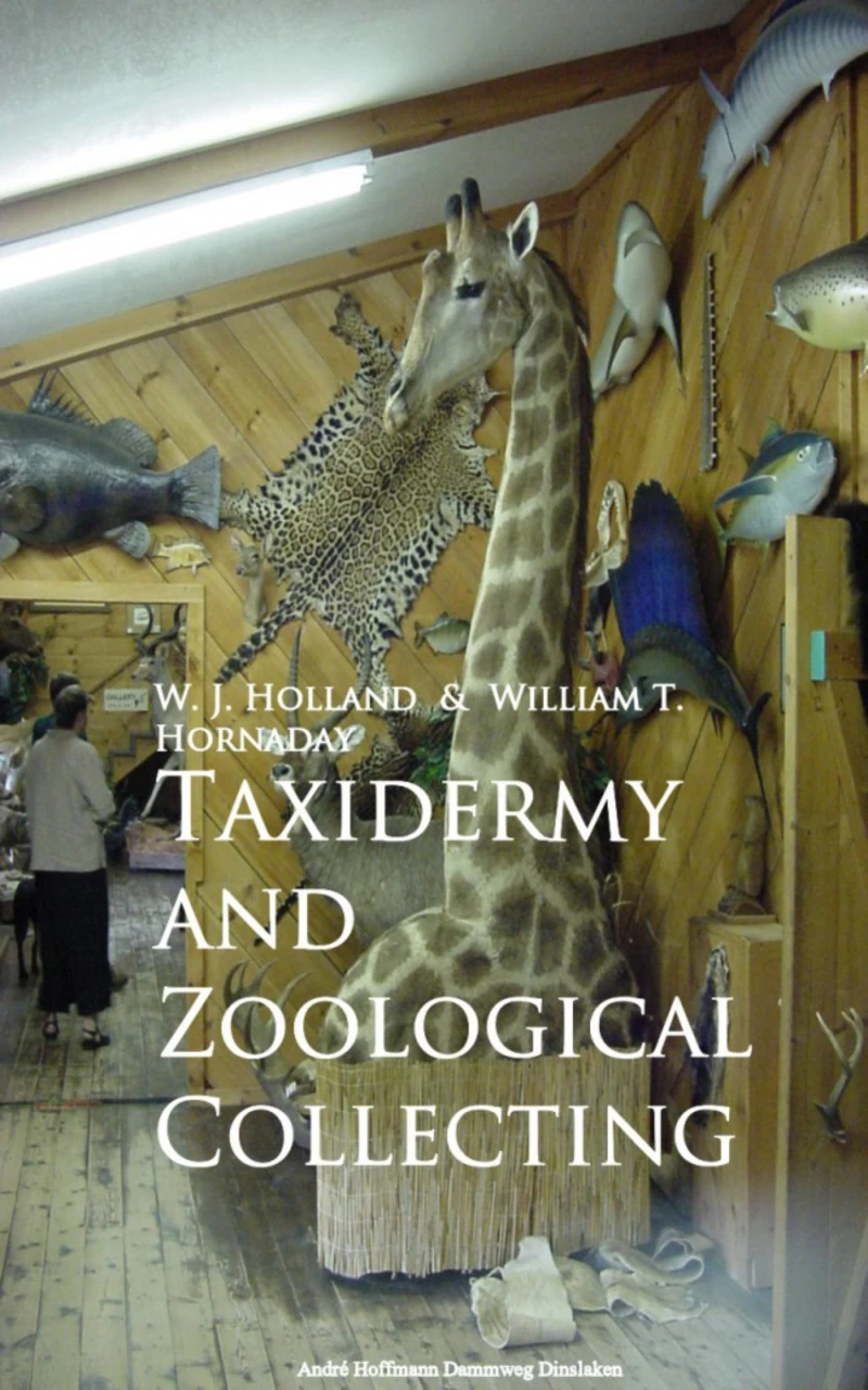 Portada: Taxidermy and Zoological Collecting