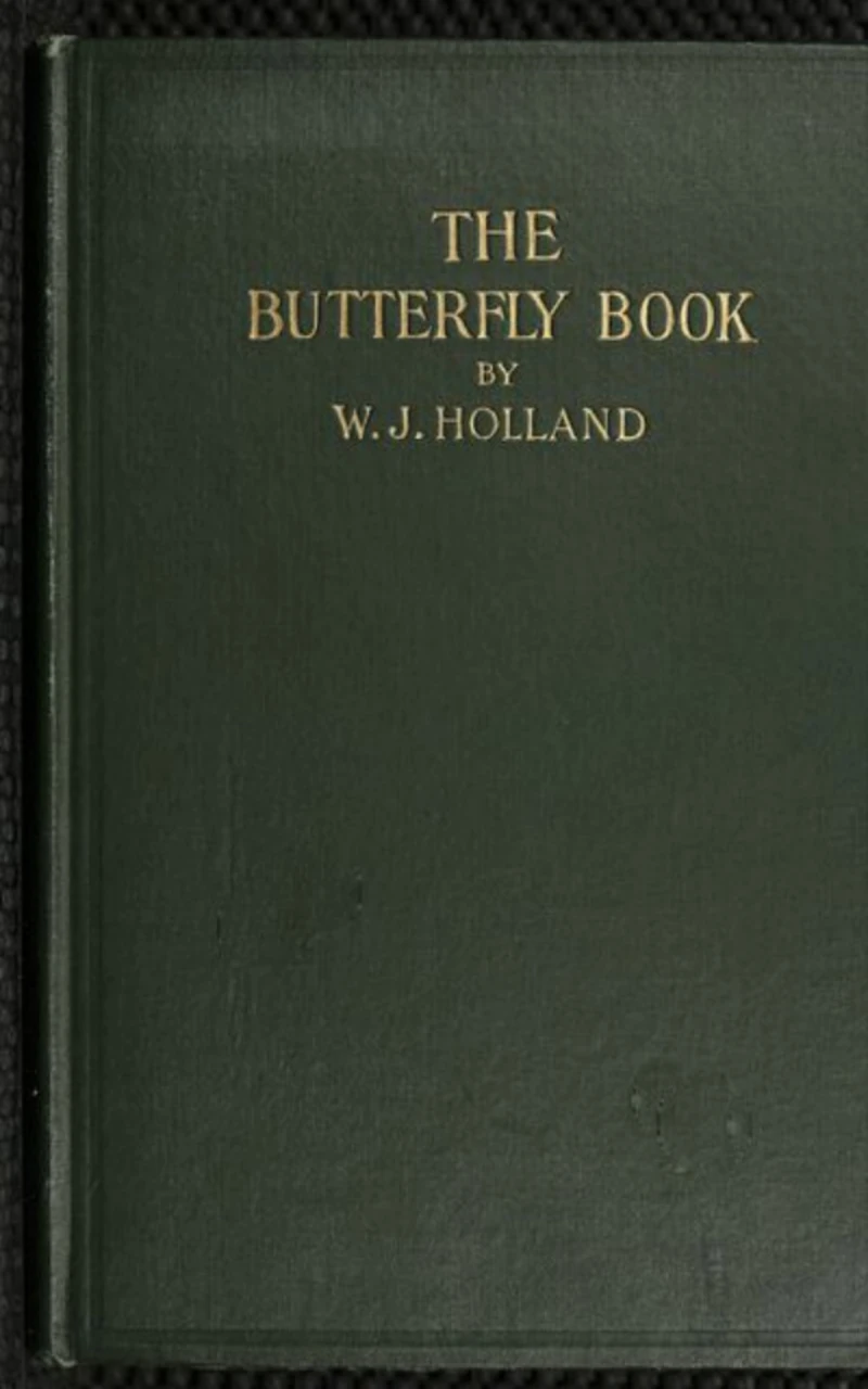 Portada: The Butterfly Book