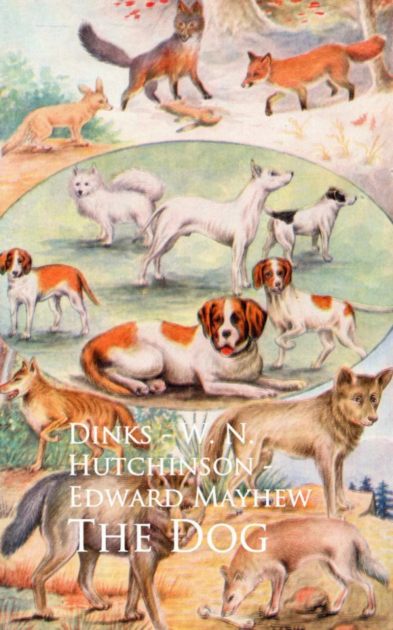 Portada: The Dog - Dinks