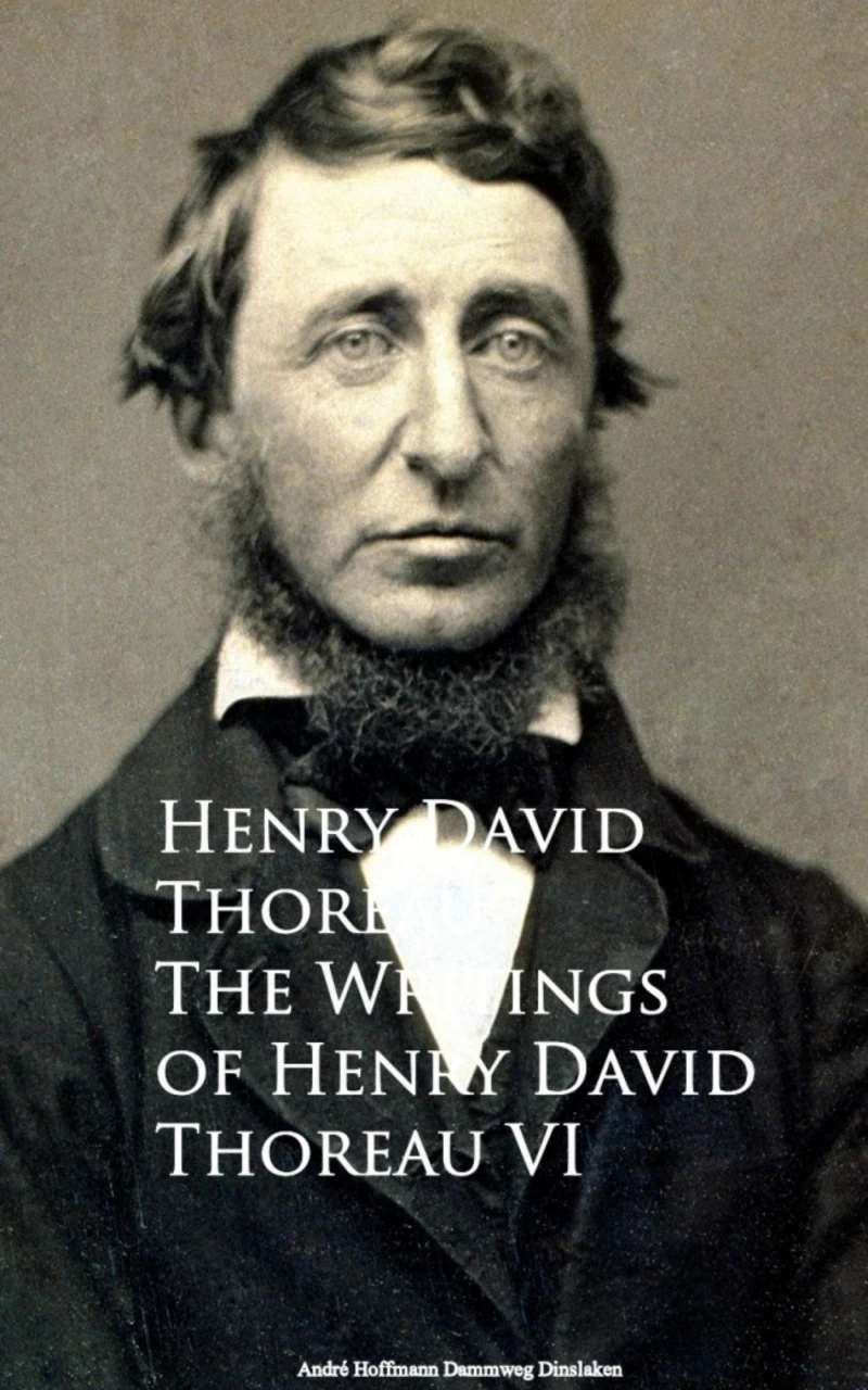 Portada: The Writings VI