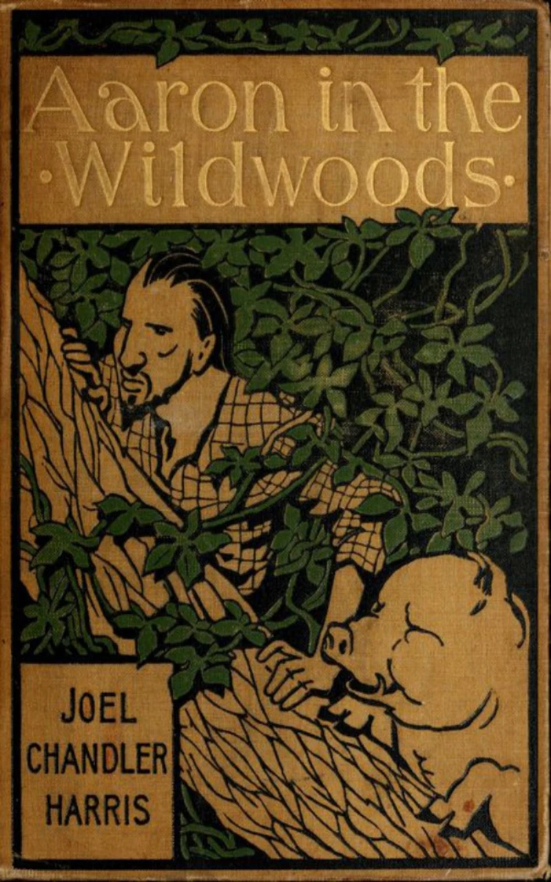 Portada: Aaron in the Wildwoods