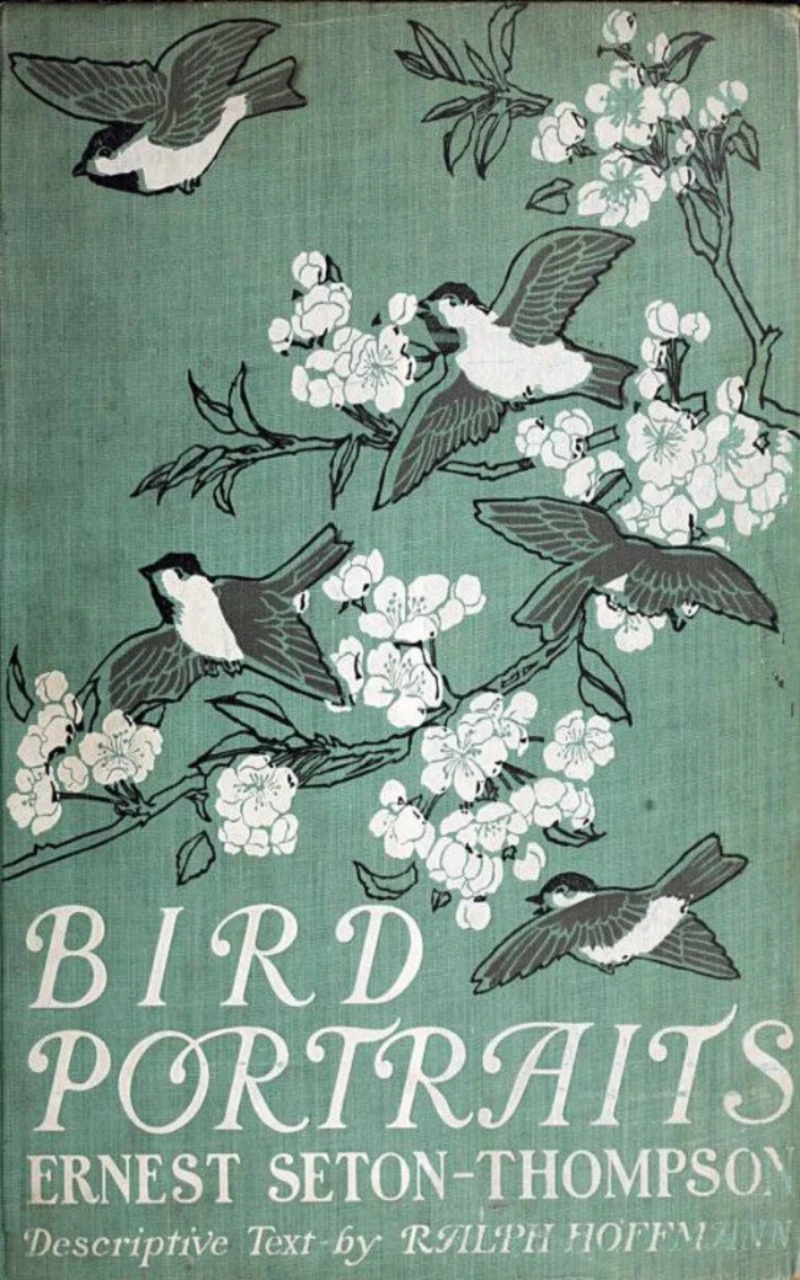 Portada: Bird Portraits