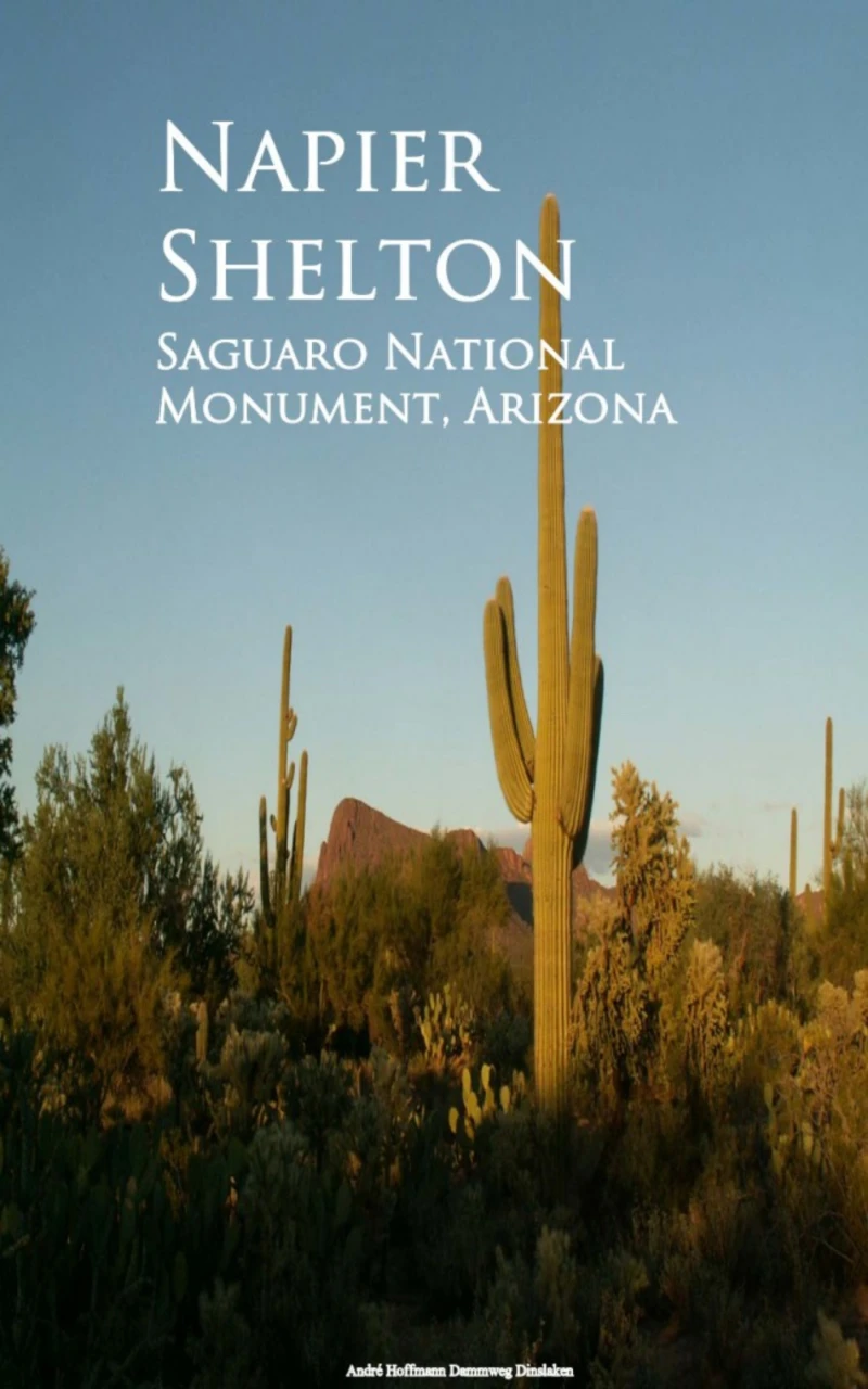 Portada: Saguaro National Monument, Arizona