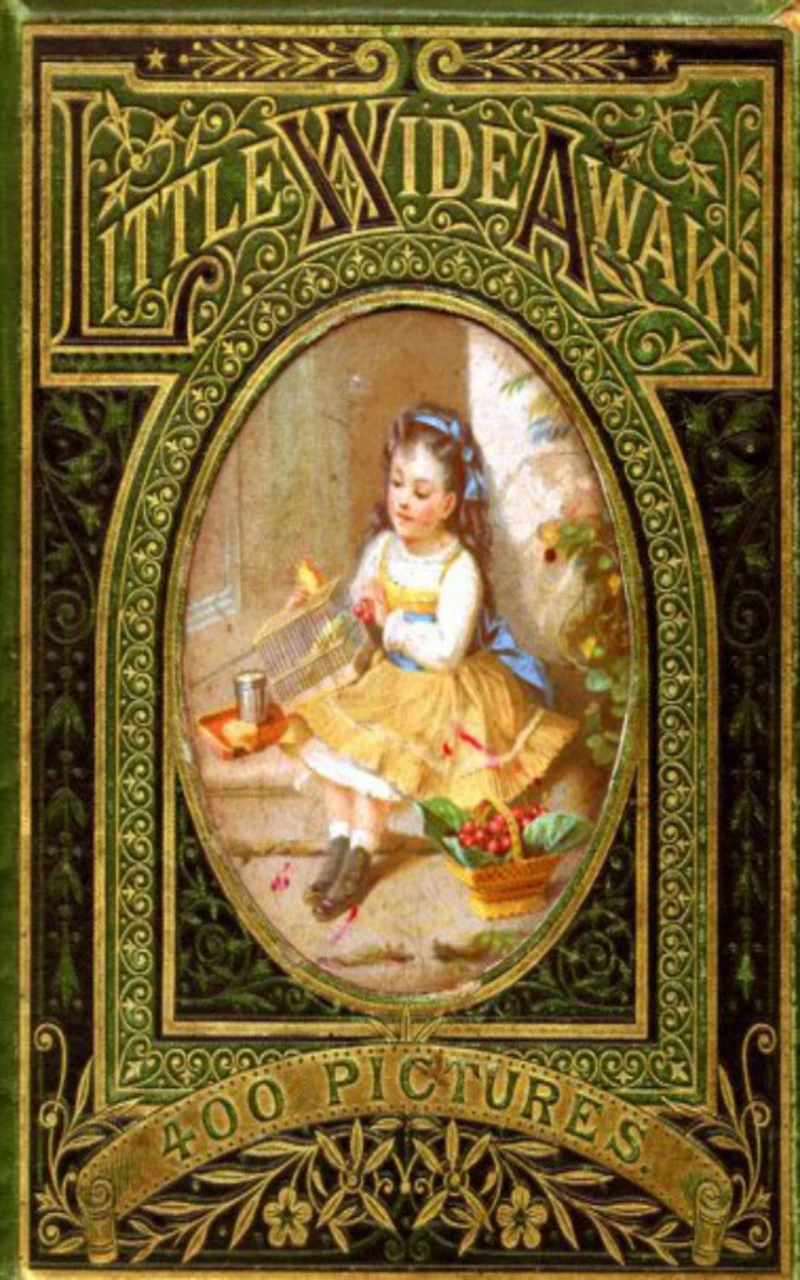 Portada: Little Wideawake - A story book for little children
