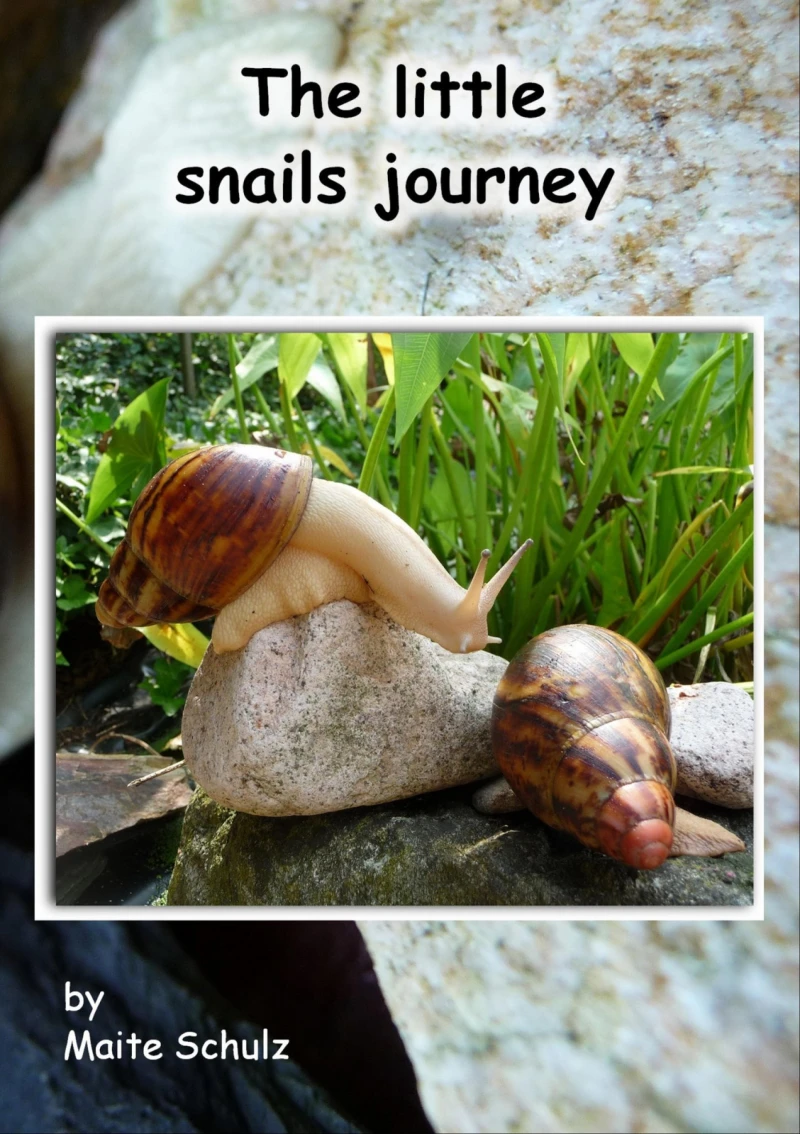 Portada: The little snails journey