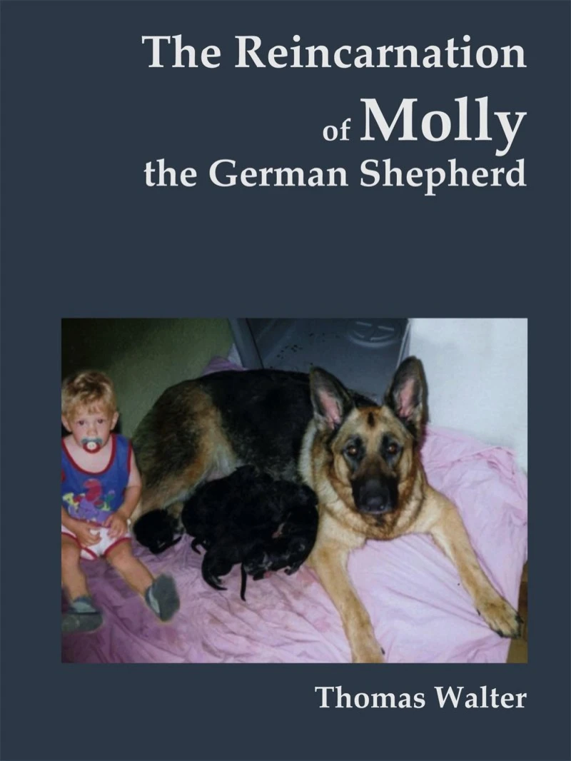 Portada: The reincarnation of Molly, the German Shepherd