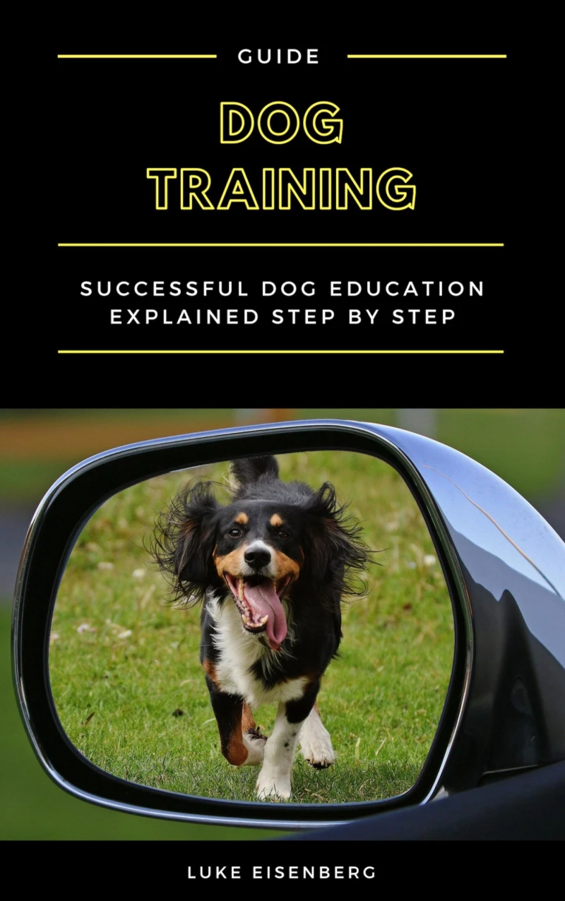 Portada: Dog Training