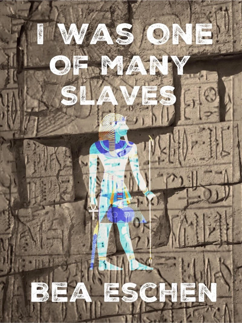 Portada: I Was One Of Many Slaves