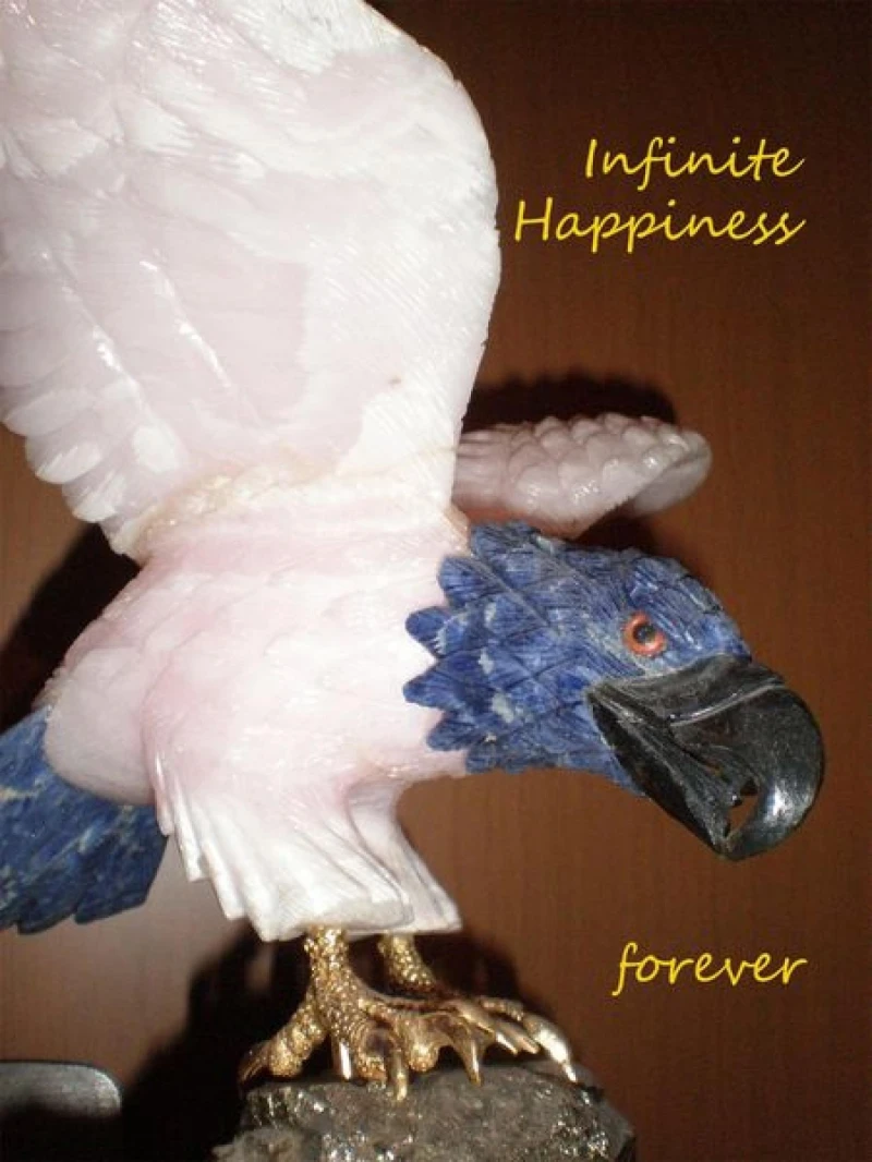Portada: Infinite happiness forever