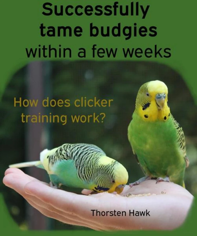 Portada: Successfully tame budgies within a few weeks