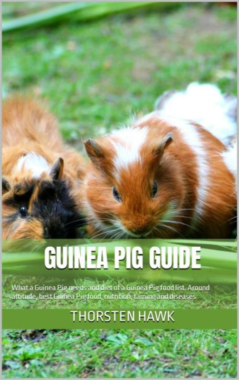 Portada: Guinea Pig Guide